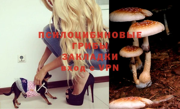 каннабис Алзамай