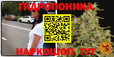 прущие крисы Конаково