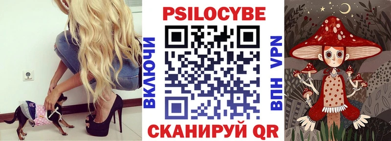 мориарти официальный сайт Моздок Псилоцибиновые грибы прущие грибы где продают