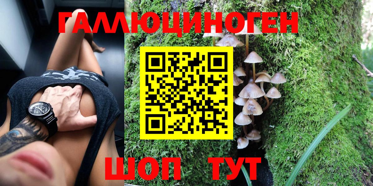 Псилоцибиновые грибы мицелий  Вход с VPN  Псилоцибиновые грибы ЛСД  закладки  Моздок 