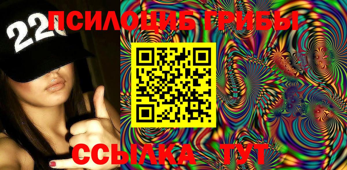 Псилоцибиновые грибы Psilocybine cubensis Моздок