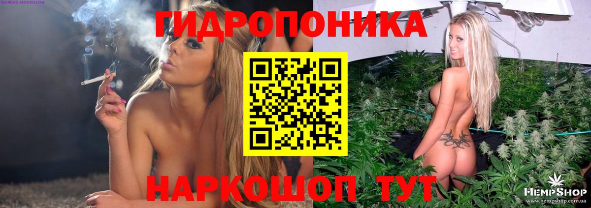 Марихуана ГИДРОПОН  Бошки Шишки сатива  Моздок  Вход с VPN  Марихуана Ganja  Каннабис план 